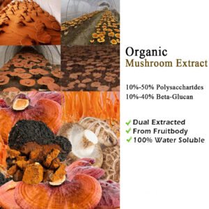 Reishi mushroom Wholesale Price